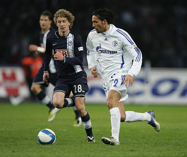 仅巩固了领 仅巩固了领